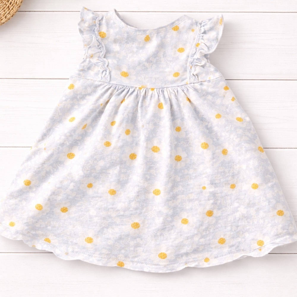 Baby Girl floral Blue Dress - 9 Months